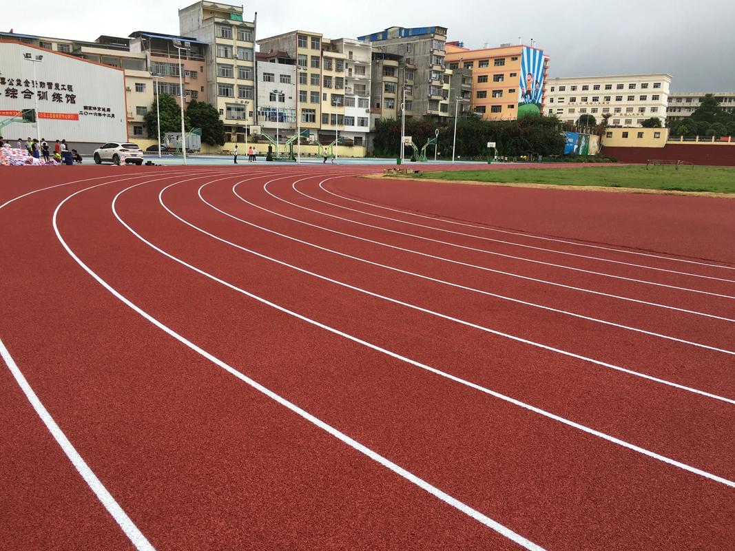 延安市EPDM颗粒塑胶跑道材料 - 方案